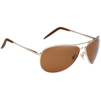 ALPINA A120 Polarize Light Gold