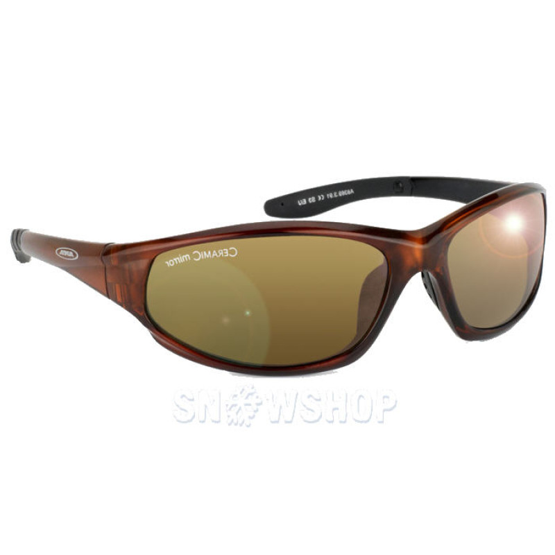 ALPINA WYLDER Brown transparent