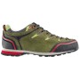 DACHSTEIN MONTE EV Green