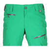 ZIENER ALL MOUNTAIN Sedi Green Men's Snow Pants
