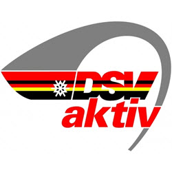 DSV LOGO