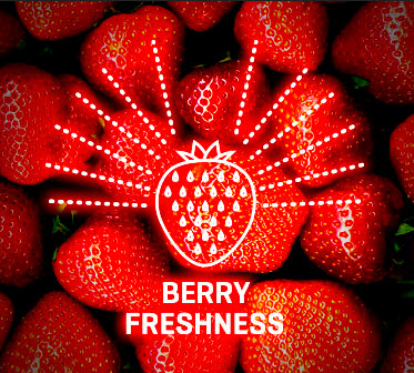 WDX berry freshness