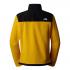 THE NORTH FACE Men’s Alpine Polartec® 200 Full-Zip fleece - Summit Gold/TNF Black-NPF