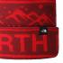 THE NORTH FACE Ski Tuke Beanie - Cordovan-Horizon Red