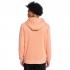 QUIKSILVER Big Logo - Ανδρικό Hoodie - Rose Kork