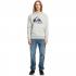 QUIKSILVER Big Logo - Ανδρικό Hoodie - Athletic Heather