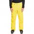 QUIKSILVER Estate - Men's Snow Pants - Sulphur