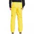 QUIKSILVER Estate - Men's Snow Pants - Sulphur