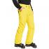 QUIKSILVER Estate - Men's Snow Pants - Sulphur