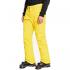 QUIKSILVER Estate - Men's Snow Pants - Sulphur